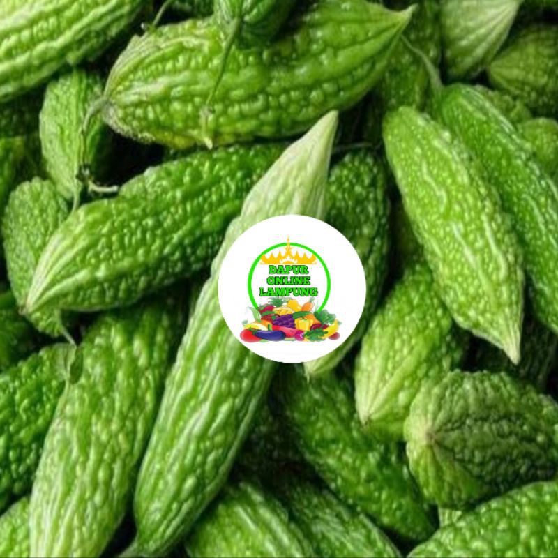 

PARE SAYUR SAYURAN SEGAR Bandar Lampung