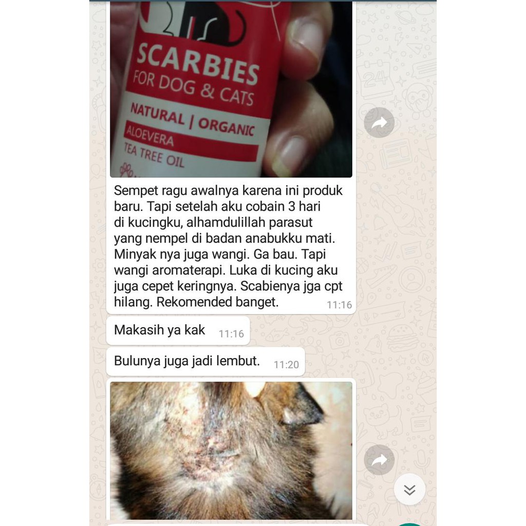 OBAT JAMUR OBAT INFEKSI KULIT KUCING ANTI KUTU  SCABIES DEMODEX JAMUR KUTU PARASIT CACING HATI OBAT JAMUR ANJING PAKET LENGKAP!