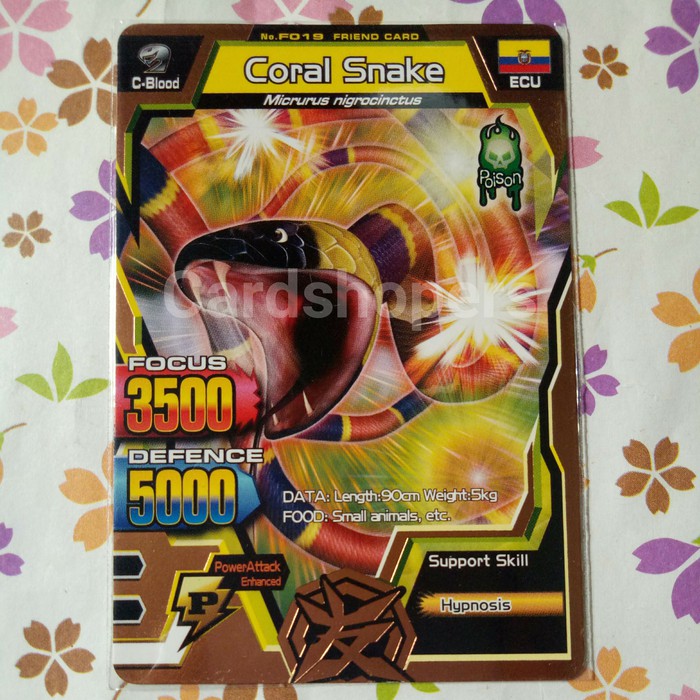 great animal kaiser bronze friend card coral snake v1