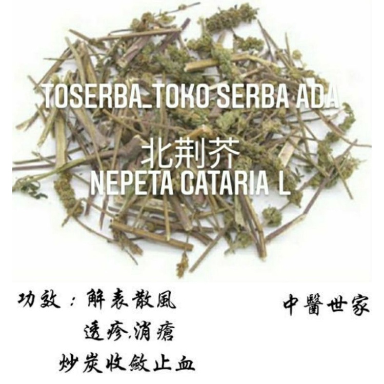 

100gr Herbal Bei Jing Jie 北荆芥 Catnip Jepang Nepeta Tenuifolia Benth Nepeta Cataria L Fineleaf Schizonepeta Herb Of Fineleaf Schizonepeta Premium Grade