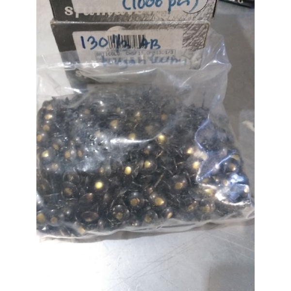 paku pines mata kucing