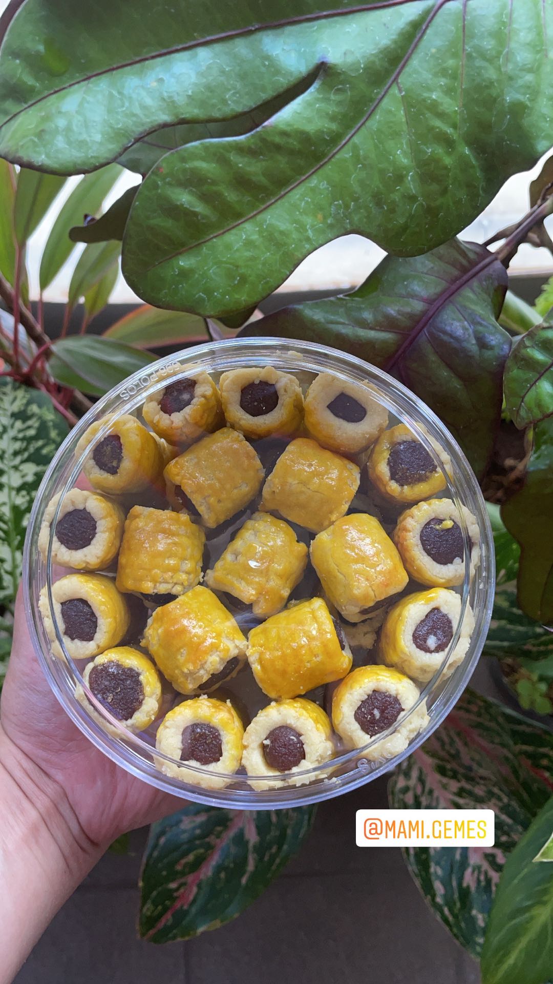 Sin Lian No 214 Cetakan Nastar Gulung