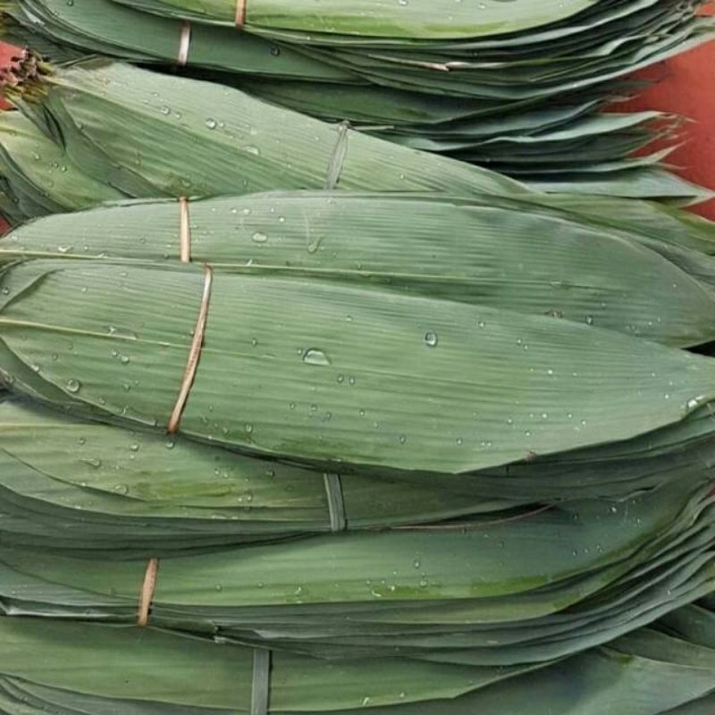 

Daun Bambu,Daun Bacang fresh murah