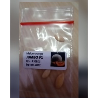 Benih Melon JUMBO F1 - 3 BIJI