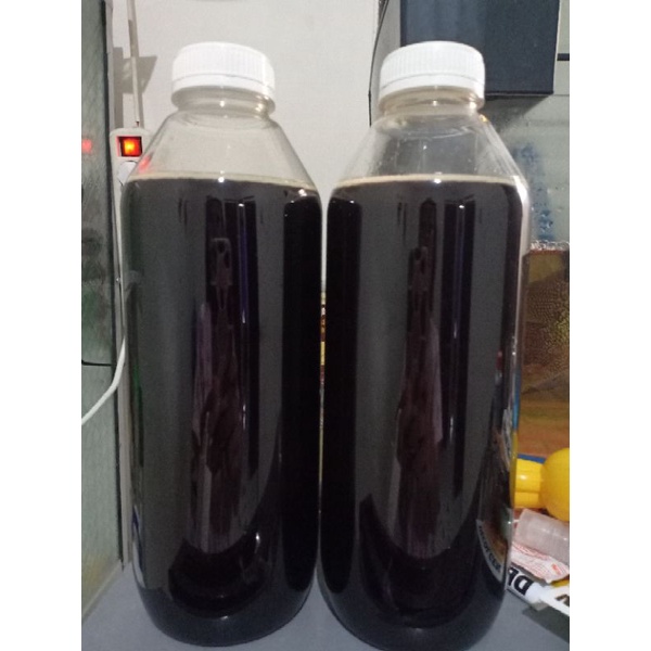 

Madu hitam Sumatera