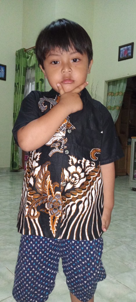 Batik Couple Keluarga Terbaru Sania Ruffle Ori Ndoro Jowi Dnt Mataram Batik Motif Ayam