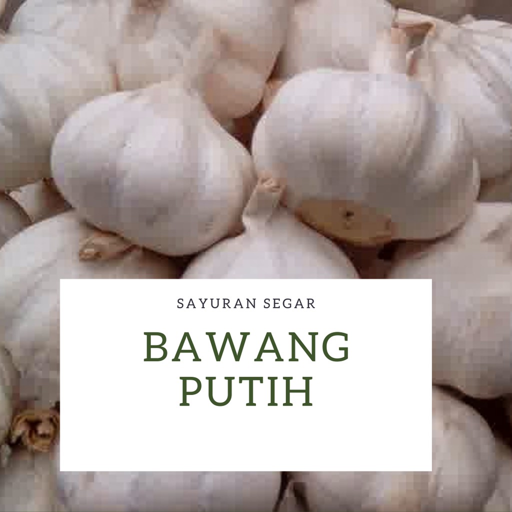 

BAWANG PUTIH