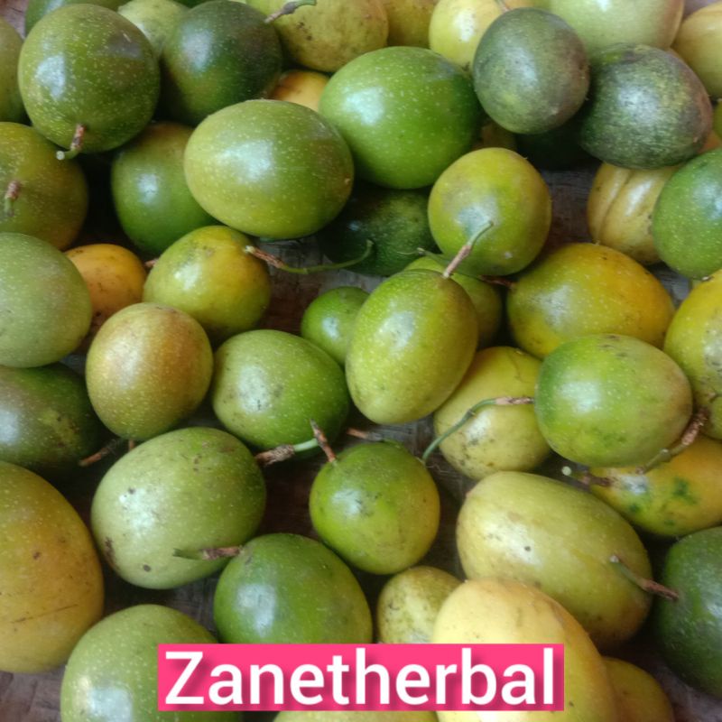 Buah konyal super.langsung petik