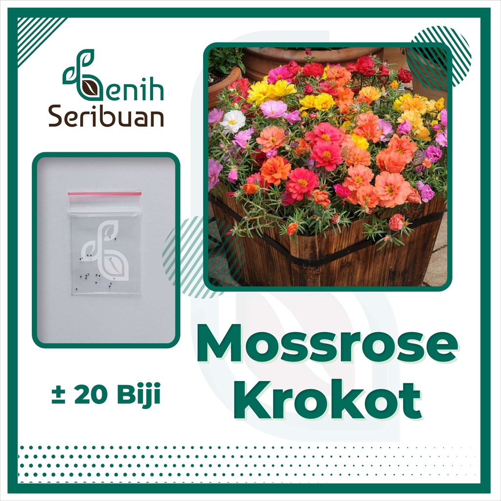 BS-BYL Bibit Bunga Benih Tanaman Bunga Hias Matahari Mawar Aster Vinca Krisan Telang Sunflower Krokot Lavender Marigold Zinnia-MOSSROSE KROKOT
