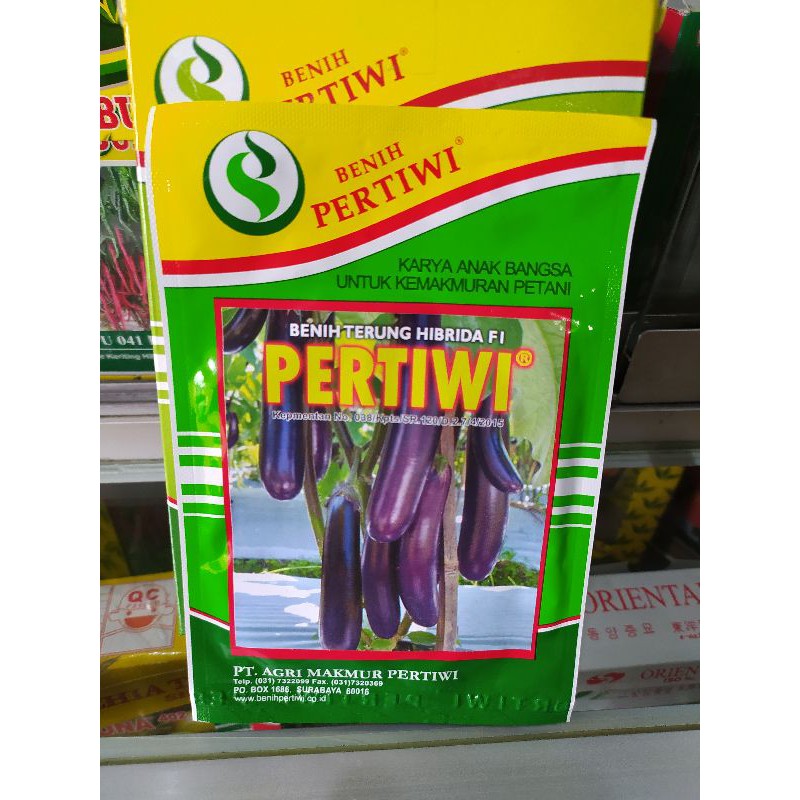 Jual Benih Bibit Terong Terung Ungu Hibrida F1 Pertiwi Original Pack ...