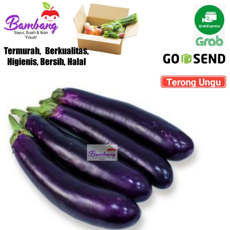 

terong ungu sayur segar 1 pcs