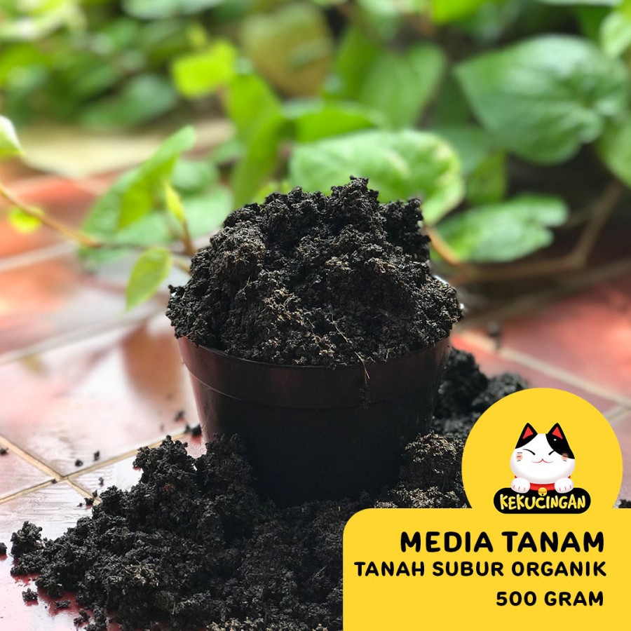 TANAH SUBUR MEDIA TANAM ORGANIK Kekucingan Langsung Tanam Apa Saja Repack 500 gram