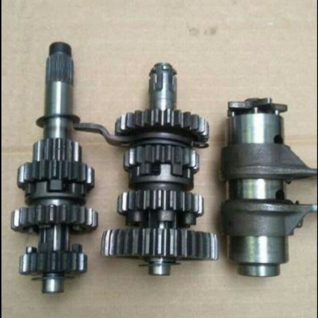 gigi rasio absolut revo fit copotan