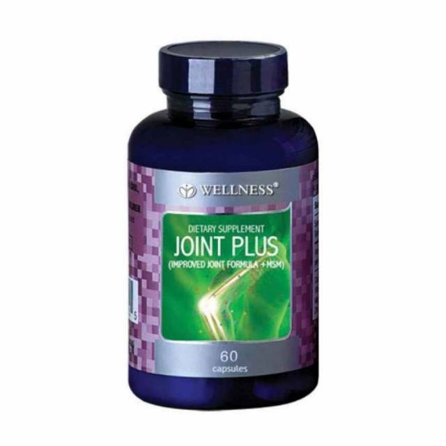 Wellness joint plus 60