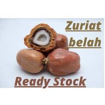 

TERMURAH BUAH ZURIAT BELAH 1 KG PROMIL AMPUH ASLI DOUM MESIR Free tespack original pria wanita