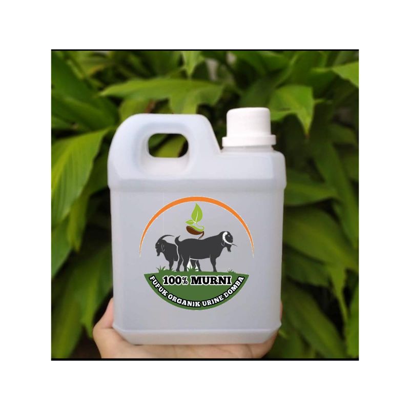 pupuk organik air urine domba/kambing murni