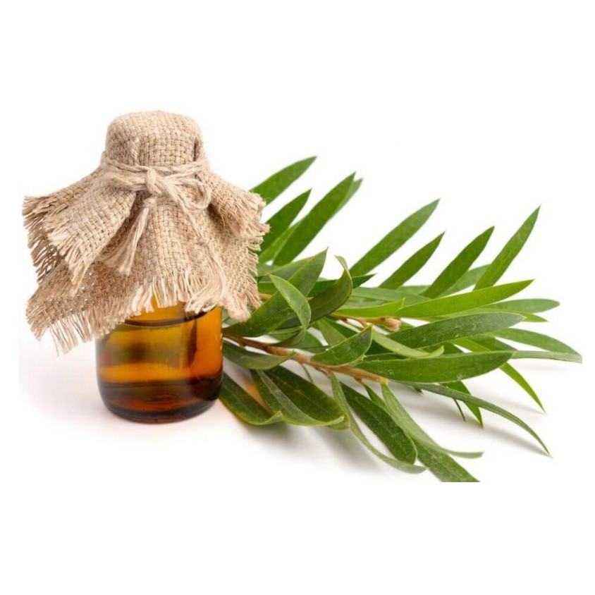 Pure Tea Tree Oil Cosmetic Grade - 100mL