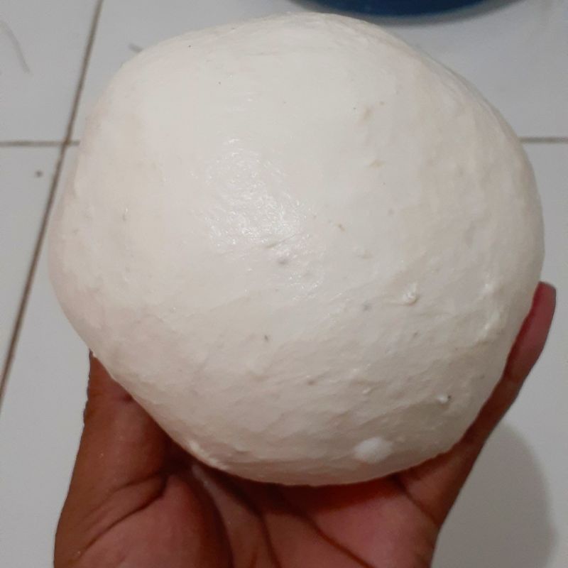 MURAH BANGET.. 65 GRAM PULUT PLIKAT BURUNG SUPER LENGKET