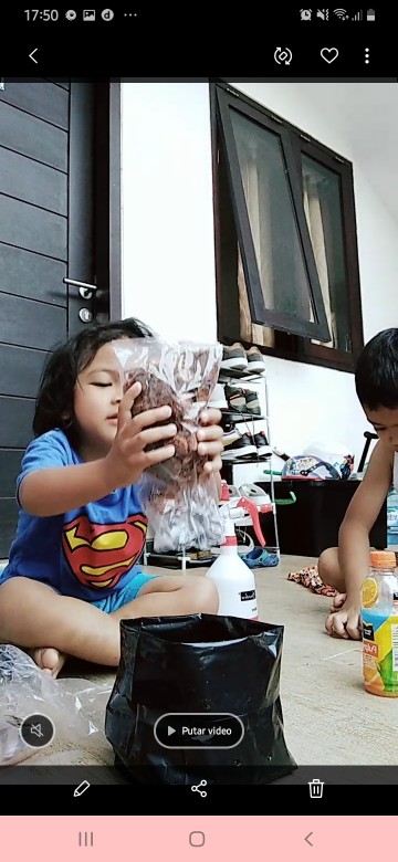 Paket Berkebun Tanam Polibag Sayuran Pg Kdr