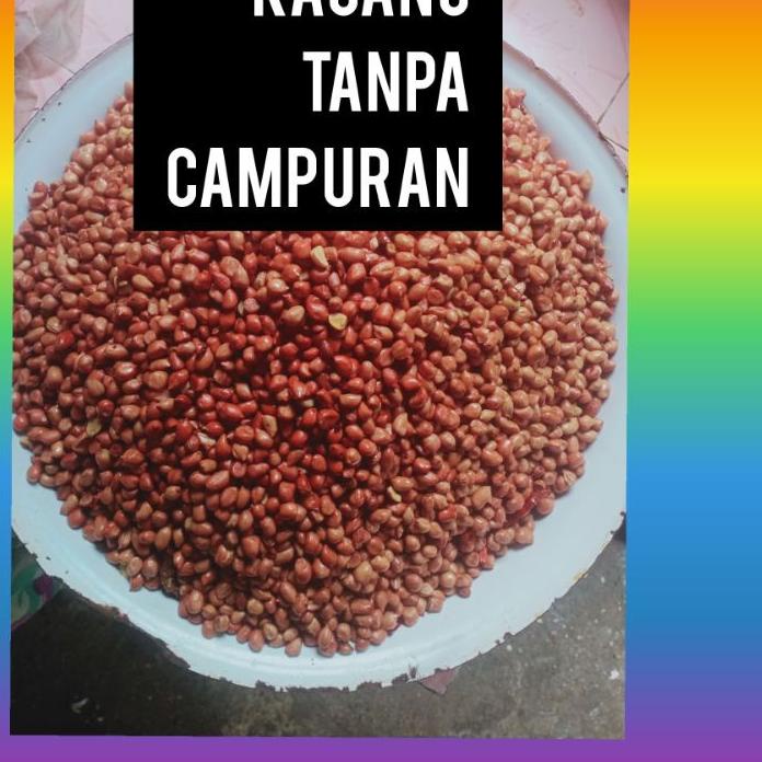 

Lari⚡ ✫↔ Sambel pecel bumbu pecel yasmin pecel kediri 250 gram produck terlaris