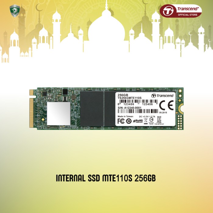 Transcend SSD M.2 PCIe MTE110S NVME