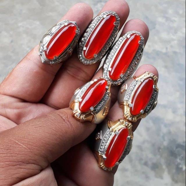 

RED RAFFLESIA MERAH CABE