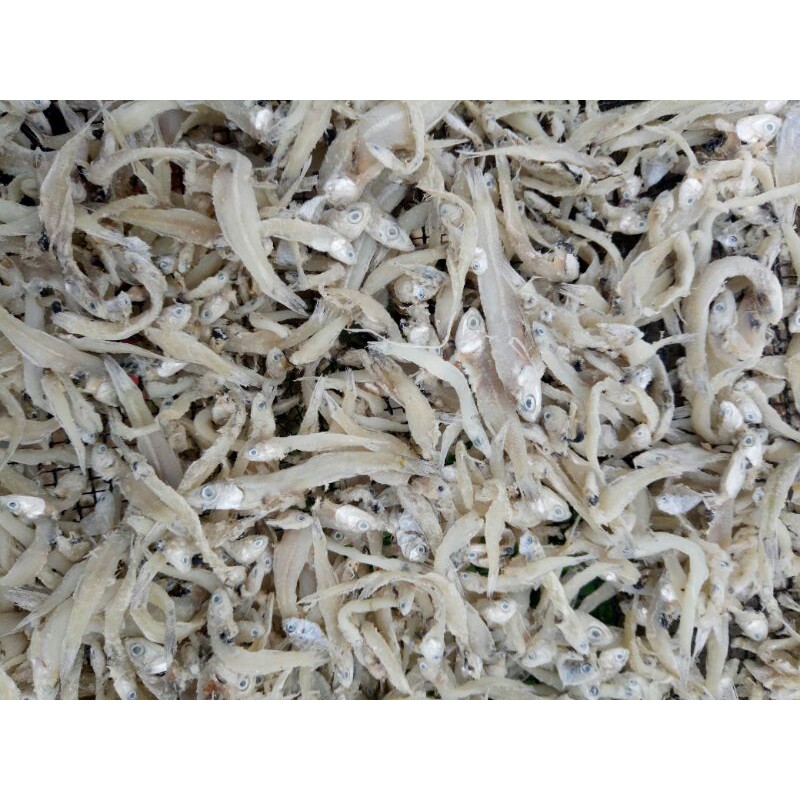 

teri asin cop ikan asin