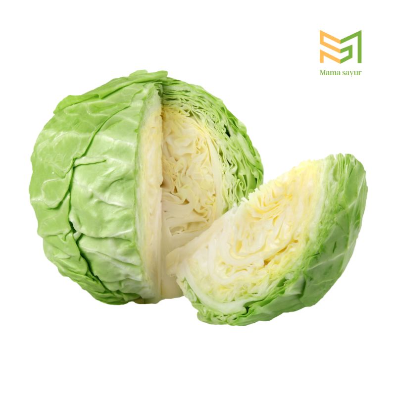 

Sayur kol segar per buah