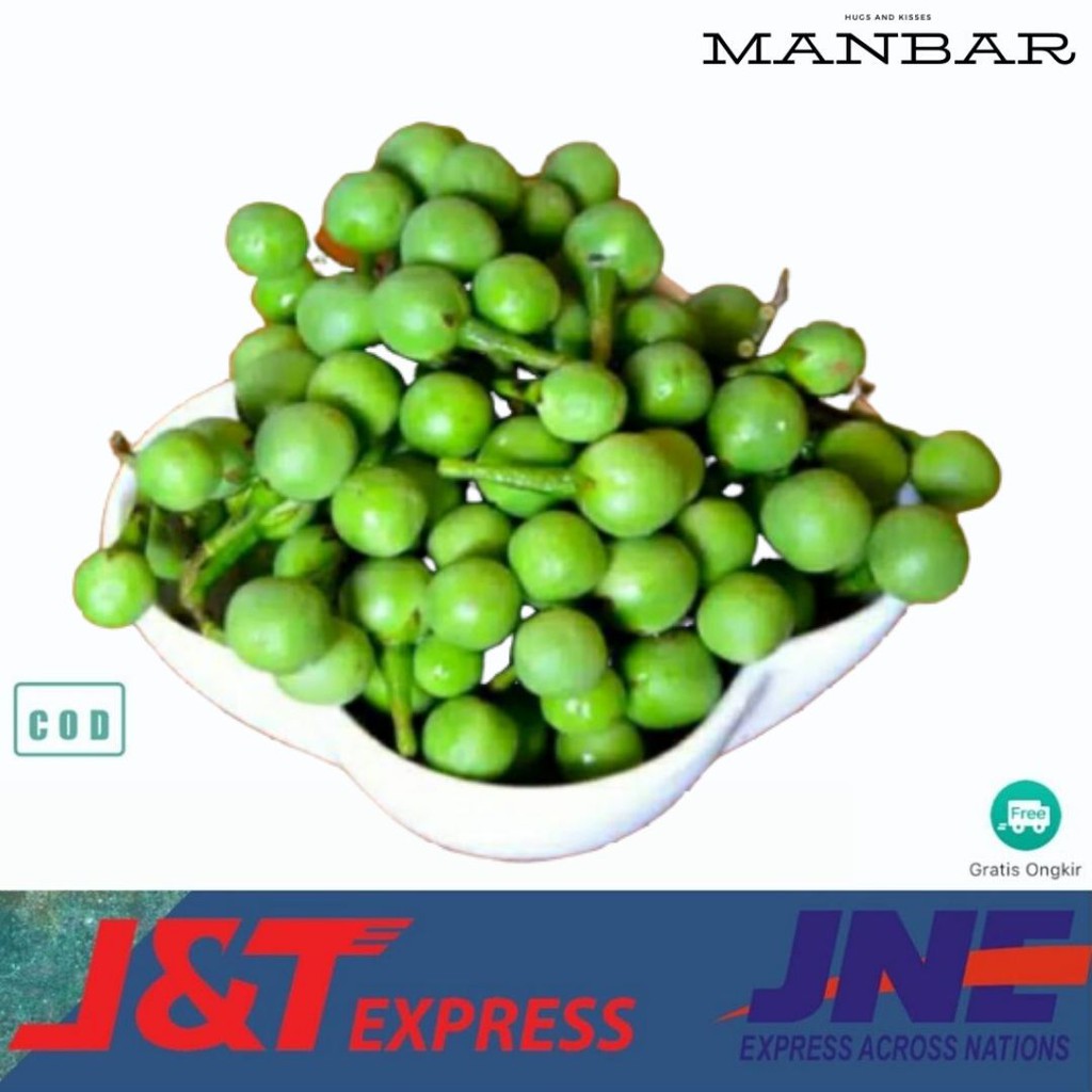 

MANBAR - Rimbang cepokak terung pipit fresh 5 ons