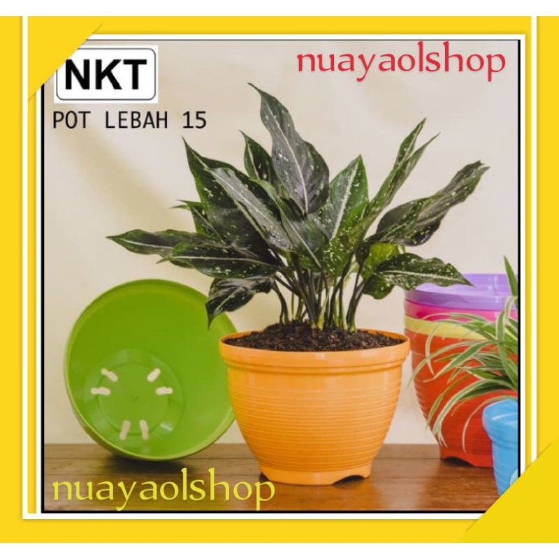 Pot Bunga/Pot Tanaman/Pot Bunga Plastik/Vas Bunga/Pot Bunga Warna Warni 15cm