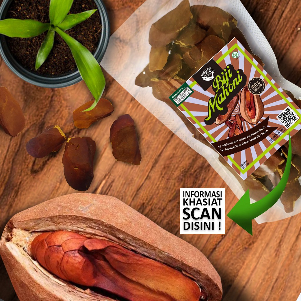 

BIJI MAHONI KERING SUPER HERBAL 100 GRAM