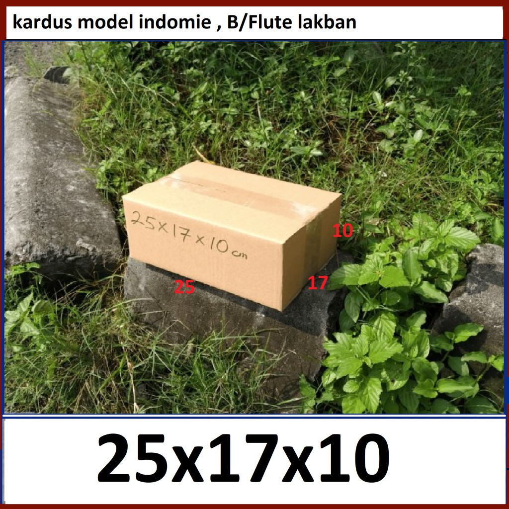 Kardus 25x17x10 cm IND