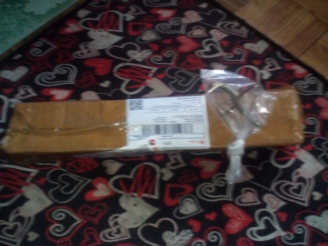 Jual Bonggol Janda Bolong Asli Bukan Tipu2-bonggol Monstera Janda Bolong