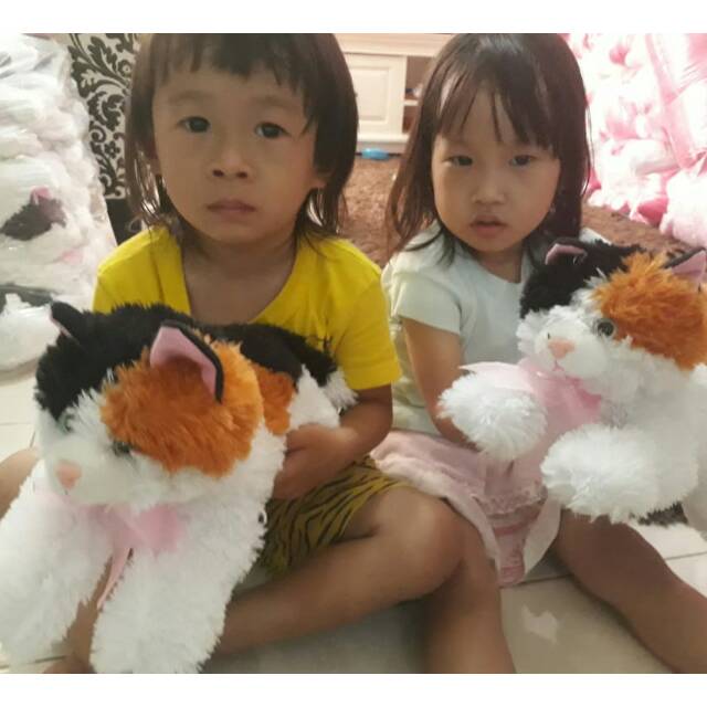 Boneka kucing Cat / Boneka Hewan