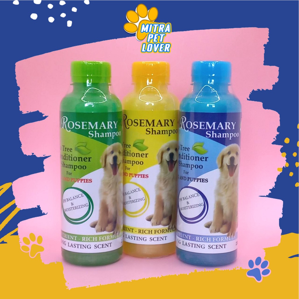 SHAMPO ANJING WANGI - ROSEMARY DOG SHAMPOO ANJING 250ML ORIGINAL - SAMPO DENGAN PH BALANCE MOISTERIZING CONDITIONER AMAN LEMBUT MURAH BAGI DOGGY PUPPIES - PET ANIMAL HEALTHCARE VETERINARY TAMASINDO OBAT DAN VITAMIN HEWAN BINATANG PELIHARAAN MITRAPETLOVER