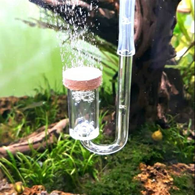 DIFFUSER CO2 DIY UNTUK DIY DAN TABUNG