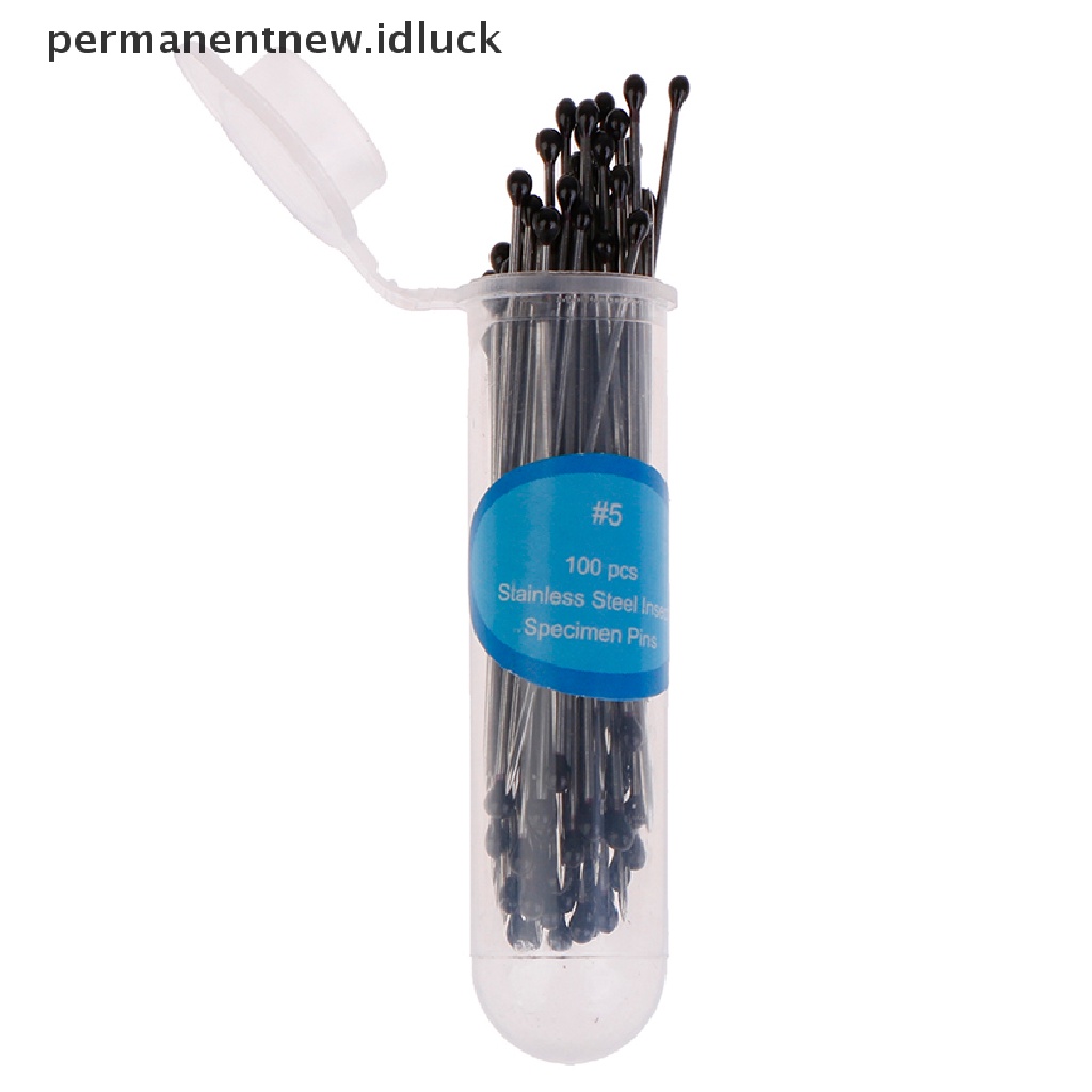 100 Pcs Pin Serangga Bahan Stainless Steel Untuk Sekolah Lab