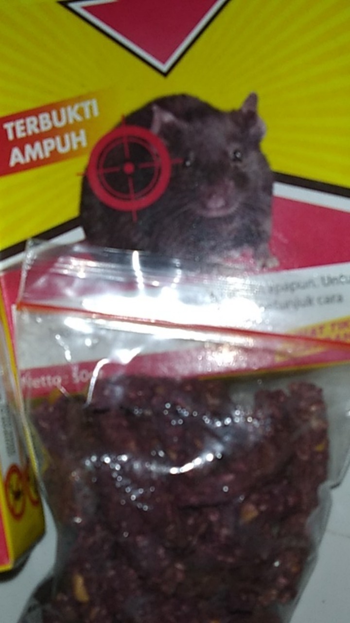 Racun Tikus Ramtus Asli Alami Mati Kering Tidak Bau Pembasmi Pengusir Tikus Super Paling Ampuh 4pack