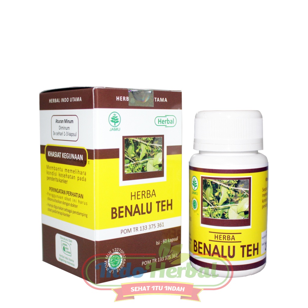 HERBAL TEH HIU BENALU OBAT KANKER | TUMOR ASLI 60 Kapsul