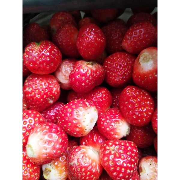 

buah strawberry fresh tanpa daun 1 kilogram grade campur