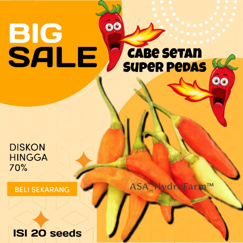 ASA HydroFarm Benih / Bibit Cabe Rawit Setan Merah Super Pedas Kualitas Unggul - Cabai Viral Isi 20 