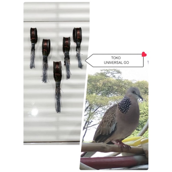 racik /jerat burung terkukur