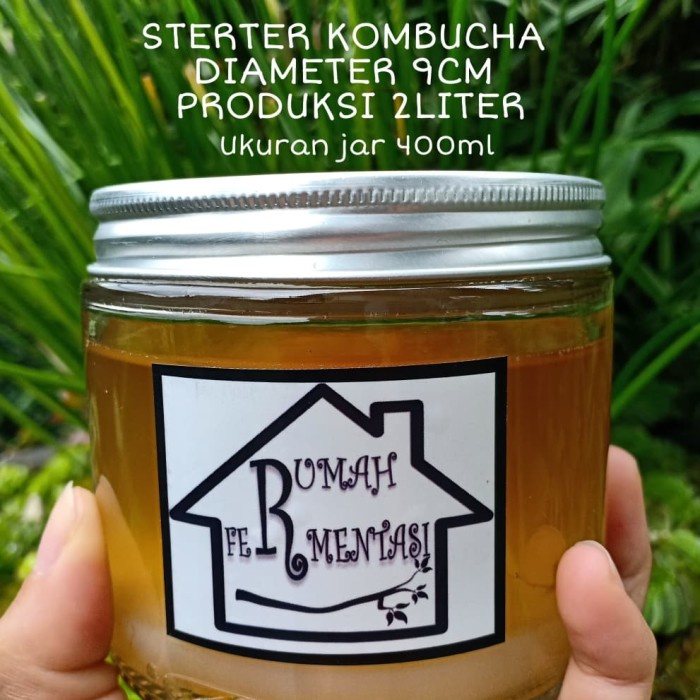

(BISA COD) Scoby diameter 34cm , BiBit Kombucha
