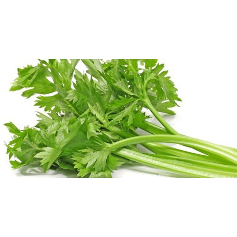

Bisa Kirim Instan - Daun Seledri + Daun prey