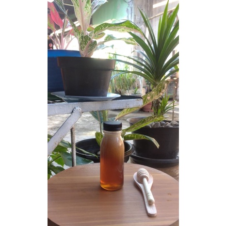 

Madu murni harga ekonomis ukuran 150 gr 100% asli
