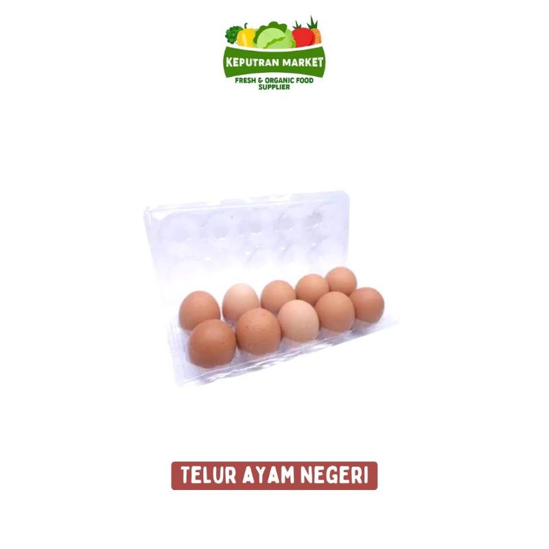 

Telur Ayam Negeri Per Pack 10 Butir / Unggas & Telur