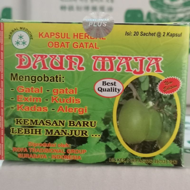 kapsul maja obat gatal kapsul daon maja obat gatal herbal
