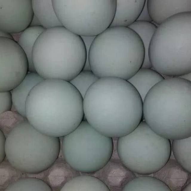 

Telor Asin / 1butir
