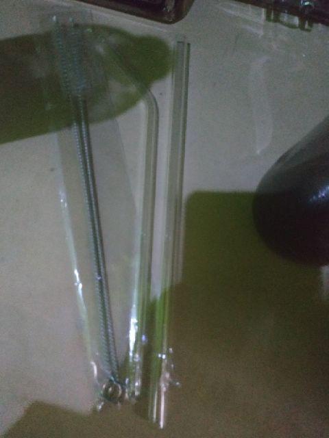 Suji Straight Medium Glass Straw Set, Straw And Brush