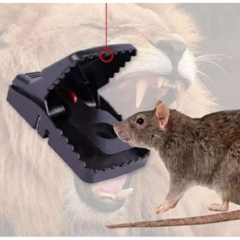 [1 pcs] ALAT PERANGKAP PENJEPIT PEMBASMI TIKUS FALLE MOUSE MICE TRAP Bekerja Maksimal Menangkap Tikus